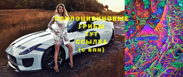 дживик Алексеевка