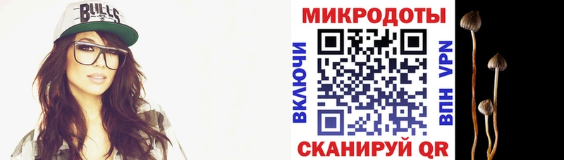 omg ONION Мегион Псилоцибиновые грибы Psilocybine cubensis купить наркотики сайты