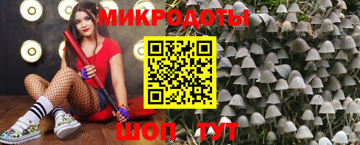 Галлюциногенные грибы мухоморы  Псилоцибиновые грибы прущие грибы  Мегион  Вход с VPN 